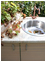 Summer kitchens