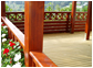 Terraces - floorboards