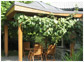 Garden pavilions