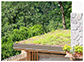 Green and sand roofs