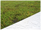 Green and sand roofs
