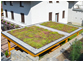 Green and sand roofs