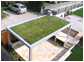 Green and sand roofs